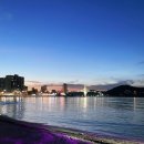 브라운도트 진하해수욕장점 이미지