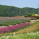 도담정원 이미지