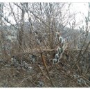 천수농원 이미지