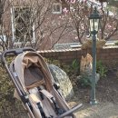 스카이오토 | 에그 스카이2 휴대용 유모차 기내반입 가능한 프리미엄 오토폴딩 유모차 직접 써본 후기