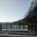 V528 이미지