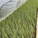 미동목장 이미지