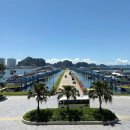 신도약국 | 여행 후 기미 색소침착 크림 동아제약 멜라토닝 3개월 사용 후기 내돈내산