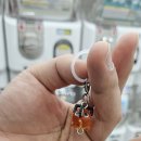 투투노래연습장 | 울산 성남동 브라더굿즈 가챠샵 포치타 키링, 귀멸의 칼날 굿즈 후기