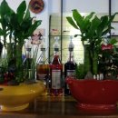 카페(cafe) 아늑