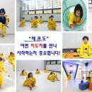 경희대호림태권도장 이미지