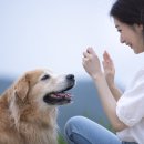 동산동물병원 이미지