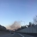 먹자천국 - 관악구 양지길 2-1 | 부산 남포동 포장마차 , 자갈치시장