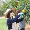 흥희농장 이미지