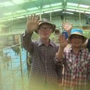 행복한흑염소농장 이미지