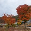 바다향기 이미지