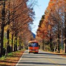 봄여름가을이야기 이미지