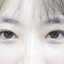 모모bar 이미지
