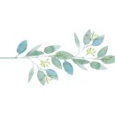 그린메디랩 이미지