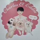 찰스앤에디 이미지
