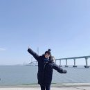 V로그 영상편집 이미지