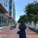 15번가에비뉴 | 워싱턴 DC 여행 : 미국 국회 의사당 백악관 워싱턴기념탑 관광지 투어 당일치기 일정 추천