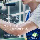 쿠카키코 네이버블로그