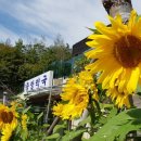 연당약국 Daum카페