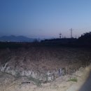 반월들길 이미지