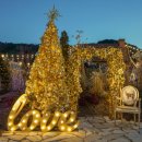 포 쿠치나 이미지