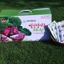아빠농원