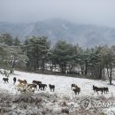 한라산모텔 이미지