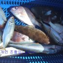 중2동-47 네이버블로그