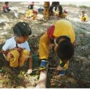 보고유치원 이미지