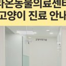 라온동물의료센터 이미지