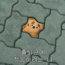 슬라브의 늙은 병정은 잠이 들었나