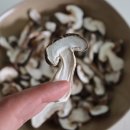 지민이네 농장 이미지