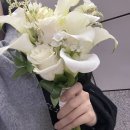 부천 니니룸ㅣ부케순이 부케 말리기 선물ㅣ내돈내산 솔직후기
