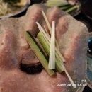 덕후선생 이미지