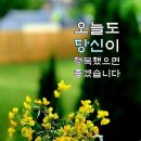 그대는 나의 인생 / 정미애 & 조성환 이미지