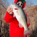 금성카포스 이미지