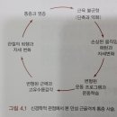 바른체형교정운동 이미지