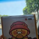 오투펜션 | [단양 여행] 단양 남천 계곡 바로 앞 단양오투펜션