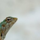 대구결혼정보 이미지