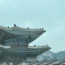 씨디월드 | 하현상 재롱잔치 보러 간 후기
