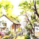 동양라이프 | 동양적 정취 속으로의 초대: 고즈넉한 정원에서 펼쳐지는 로맨틱한 날