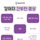 인동동물병원 이미지