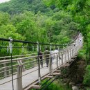 로얄카바나 이미지