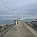 남매약국 | 당진 안섬포구 포차거리 남매포차 칼국수 간재미무침 후기