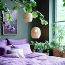 봄맞이 마크라메 식물플랜트 이미지