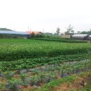 가화만사성농장 이미지