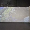 울산대곡박물관 이미지