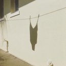 플라이무드 이미지