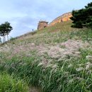 경기도의 자존심 수원