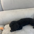 금빛유치원 | [신점후기]강북 수유 금빛나비도령 신점 후기(너무 잘맞아서 친구들도 데려간..)